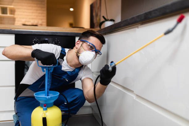 Professional Pest Control in Northbrook, OH