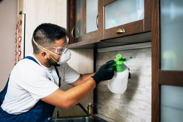 Best Wasp Removal Services  in Northbrook, OH