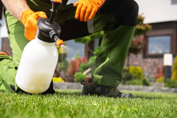 Wildlife Control Services in Northbrook, OH