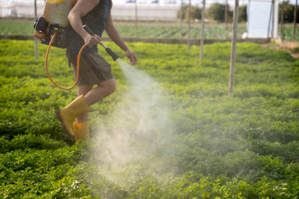 Best Best Pest Control Companies  in Northbrook, OH