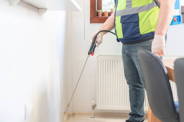Best Local Pest Control Services  in Northbrook, OH
