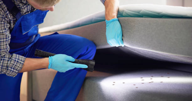 Best Emergency Pest Control  in Northbrook, OH