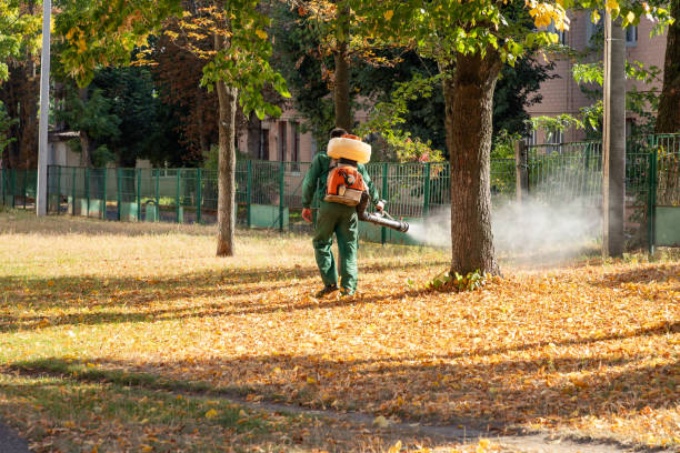 Best Affordable Pest Control Services  in Northbrook, OH