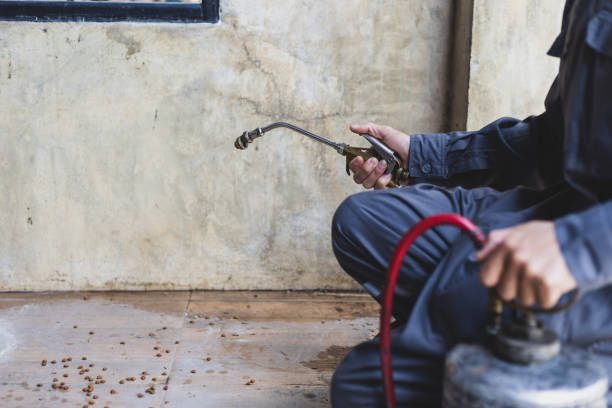 Best Residential Pest Control  in Northbrook, OH
