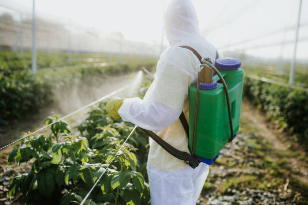 Best Pest Removal Services  in Northbrook, OH
